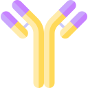 Antibody