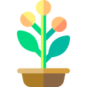 Flower pot