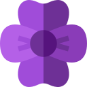 Виолетта