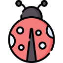 Ladybug