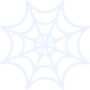 Spiderweb