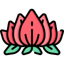 lotus blume