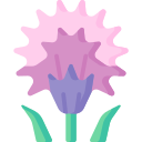 kwiaty szczypiorku