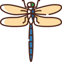 libellula