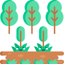 Trees