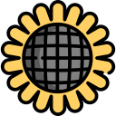 tournesol