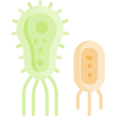 Microbe