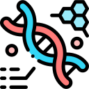 structure de l'adn