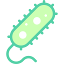 細菌