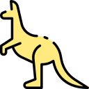 Kangaroo