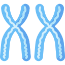 chromosomy