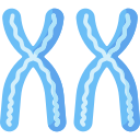 les chromosomes