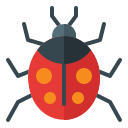 coccinelle