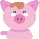 Pig