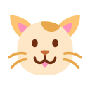 gato