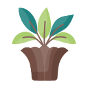 Plant pot