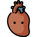 cardiologia