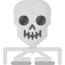 Skeleton