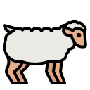 schaap