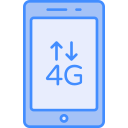 4 g