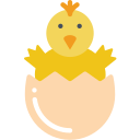 Chick