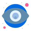 Eye