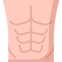 muscolo