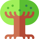 drzewo życia