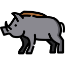 Wild boar