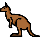 Kangaroo