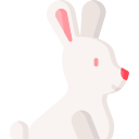 kaninchen