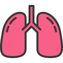 pulmões
