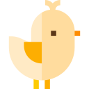 polluelo