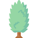 Дерево