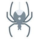 spinne