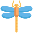 libellula