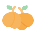 abrikoos
