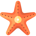 Étoile de mer