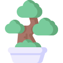 bonsai