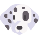 dalmatiër
