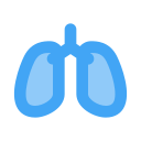polmone