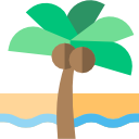 palm