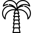 Palm tree