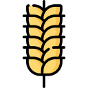 du blé