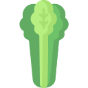 Celery