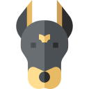 doberman