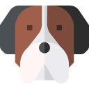 Saint bernard