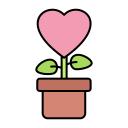 사랑의 식물