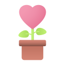 roślina miłości