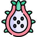 fruit du dragon